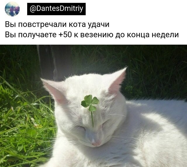 Скрины из соцсетей