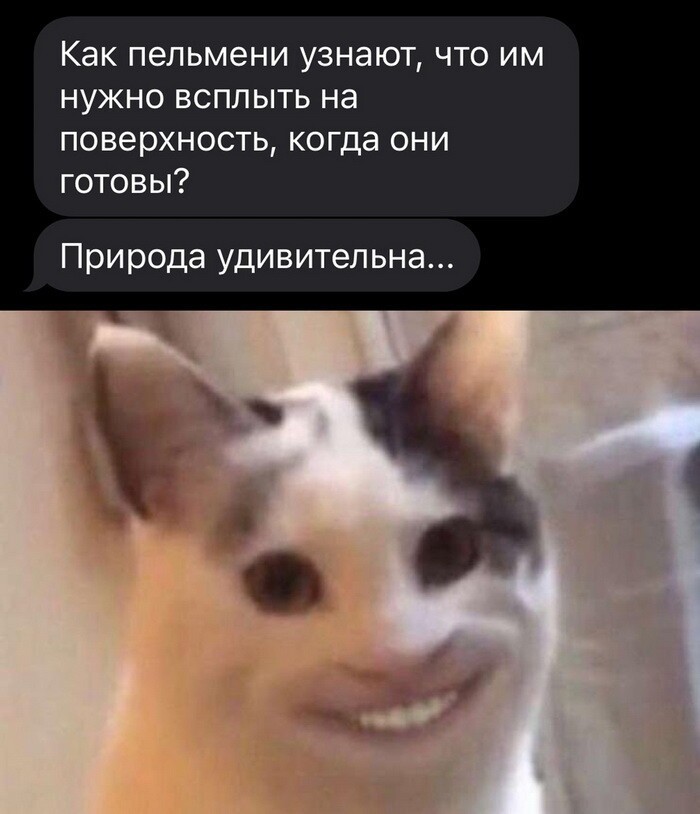 Скрины из соцсетей