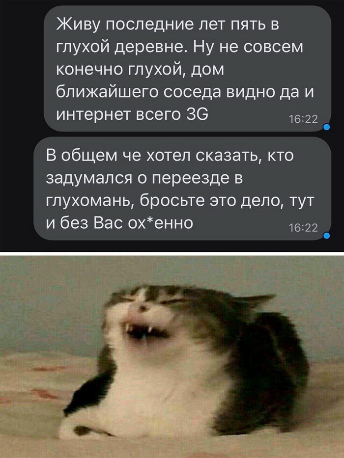 Скрины из соцсетей