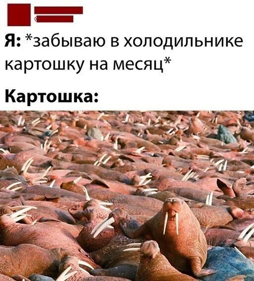 Скрины из соцсетей
