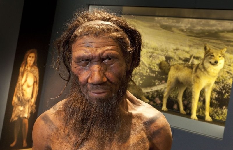 Неандертальцев погубила их могучая сексуальность