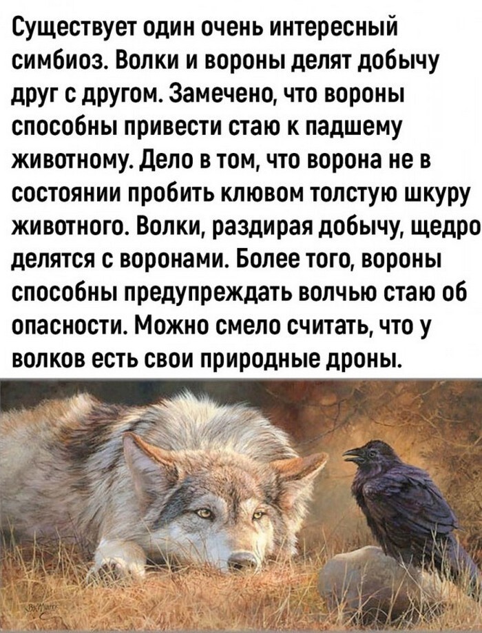 На общую тему