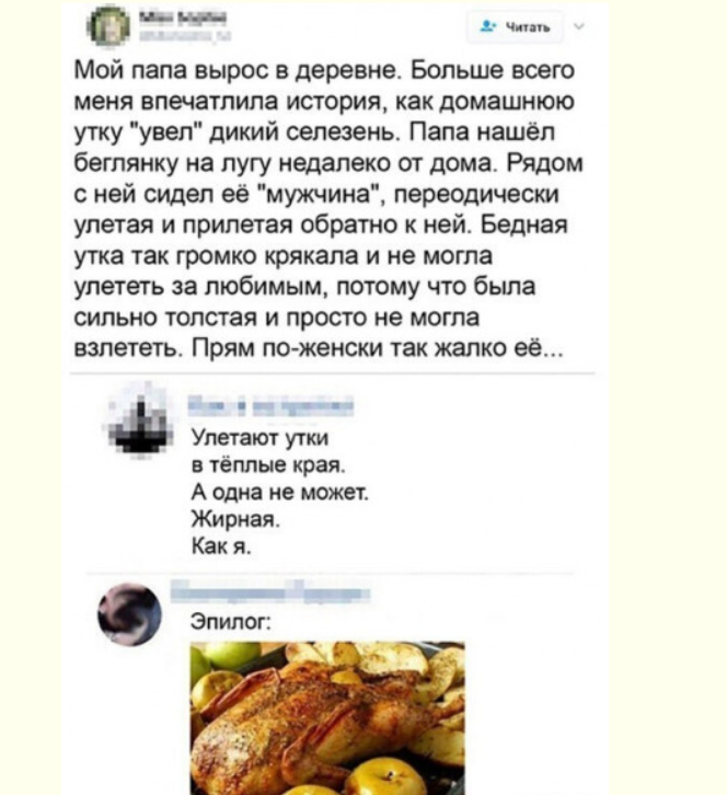 Йожика картинки. Выпуск 237