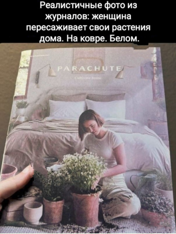Йожика картинки. Выпуск 237