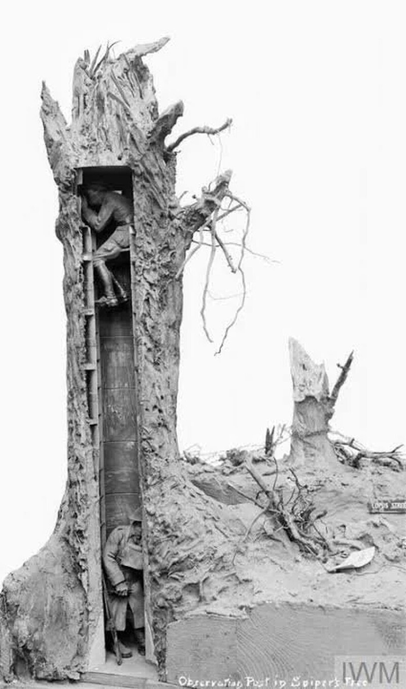 Поддельные деревья использовались в качестве наблюдательных постов. Годы Первой мировой войны