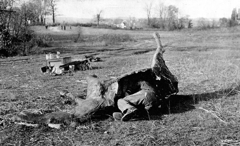 Солдат прячется в поддельной туши лошади, годы Первой мировой войны