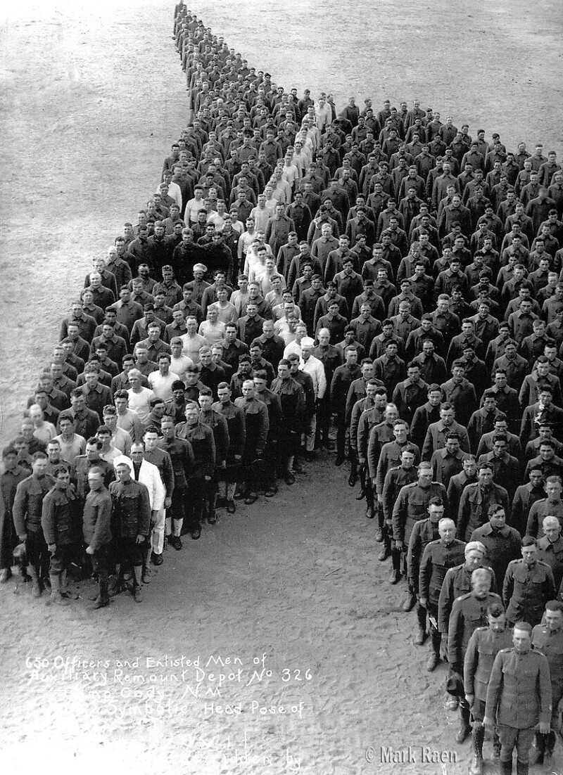 650 офицеров и солдат в Нью Мексико выстроились в виде лошади, 1915 год. За войну погибло около 8 миллионов ослов и лошадей