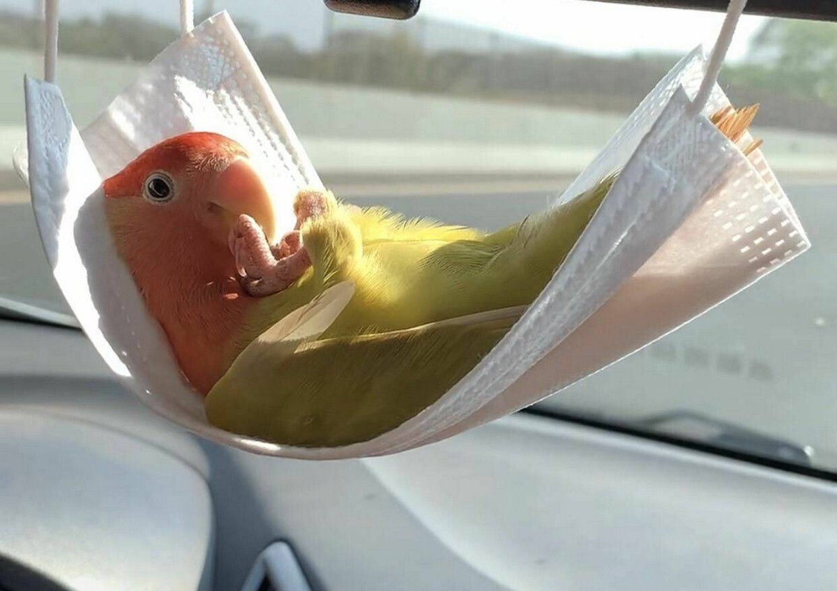 Фотоподборка от Димон за 11 ноября 2022 23:56