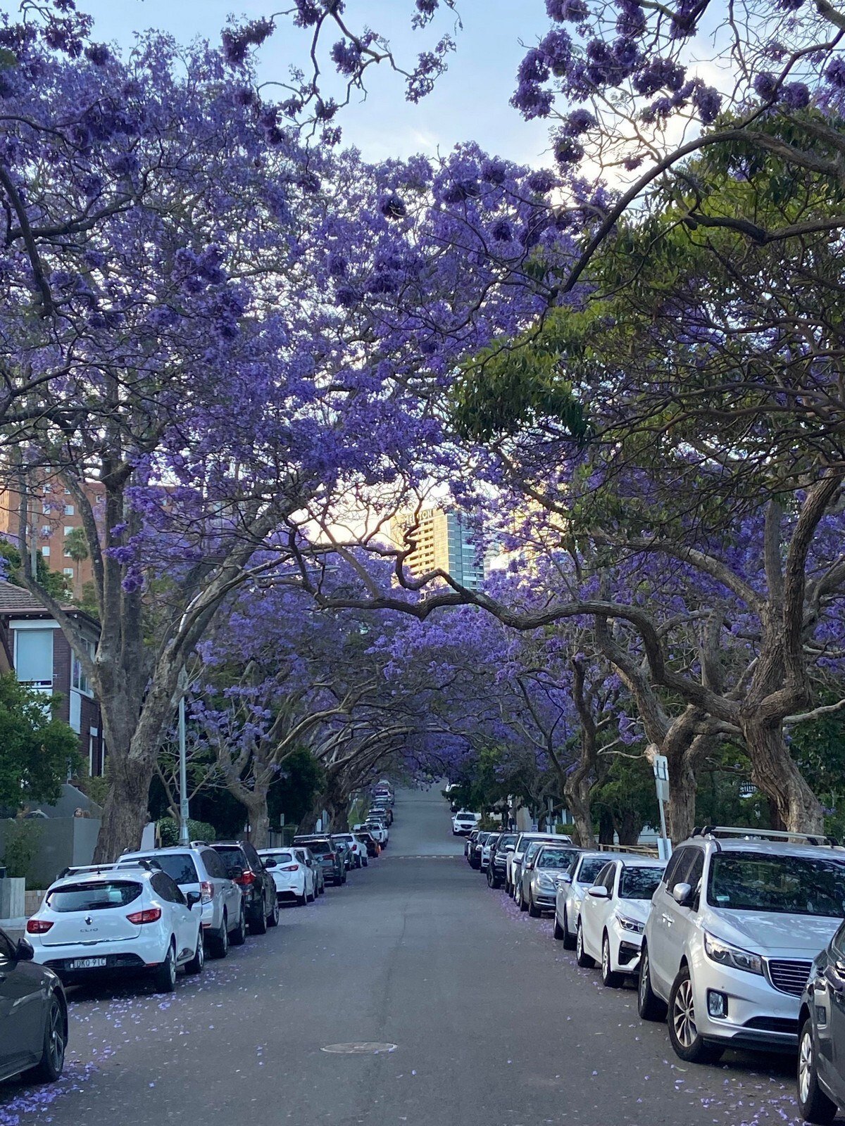 Фотоподборка от Димон за 11 ноября 2022 23:56