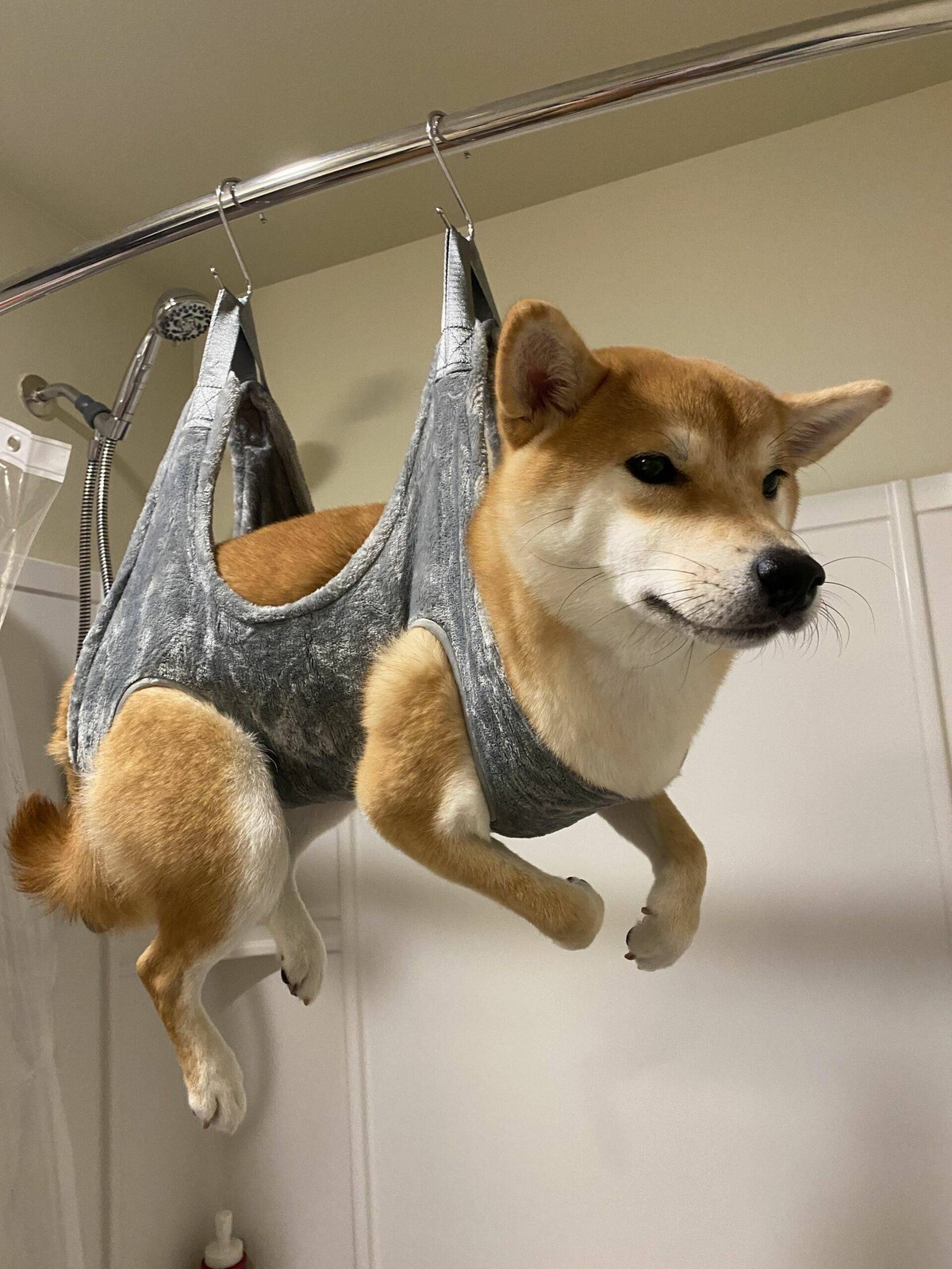 Фотоподборка от Димон за 11 ноября 2022 23:56