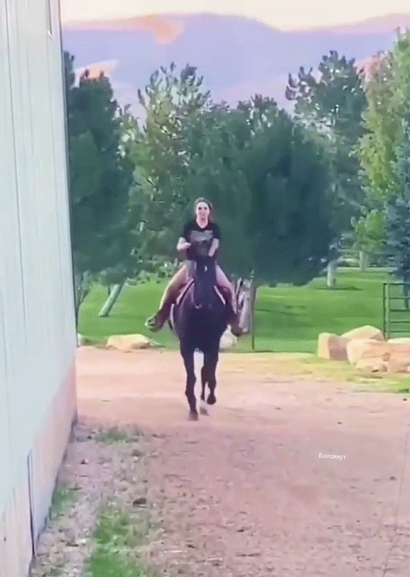 Смешные и познавательные картинки