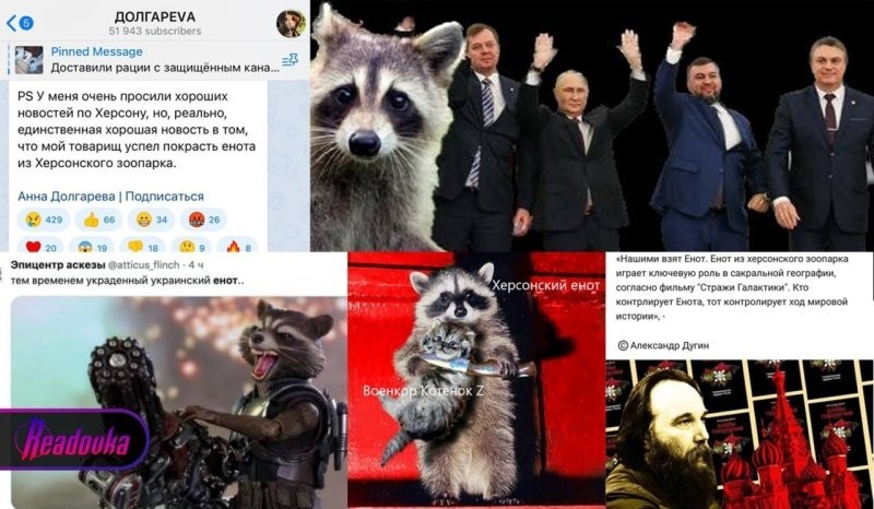 Россияне вывезли из Херсона енота, который стал героем мемов и причиной истерики на Украине