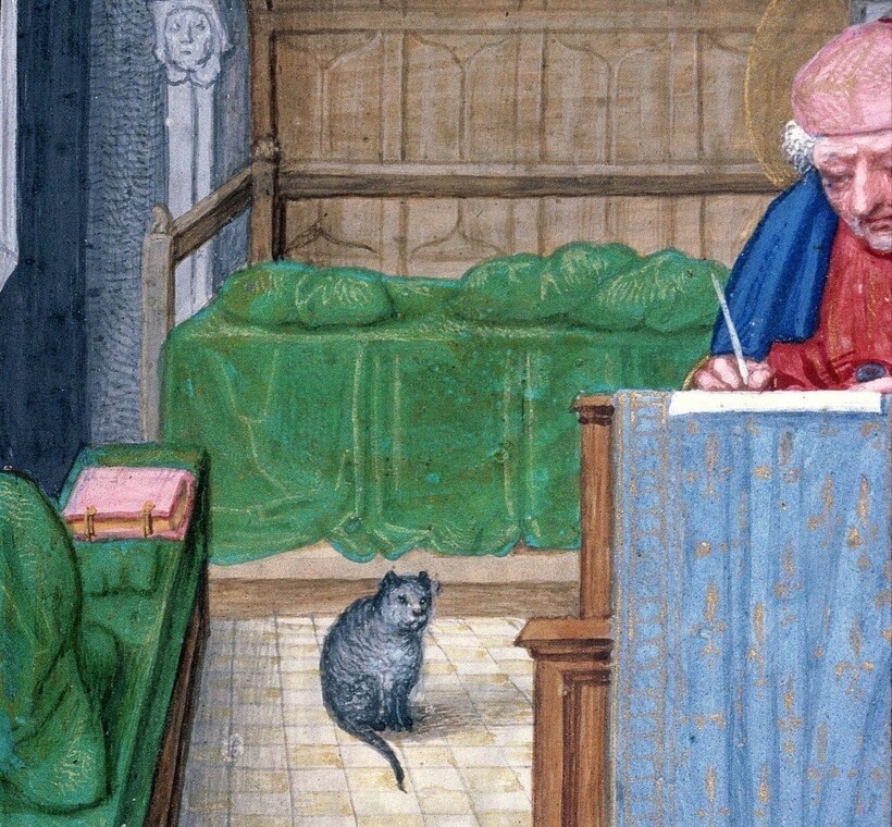 Почему в Средневековье кошек изображали такими страшными