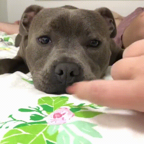 И ведь терпит же