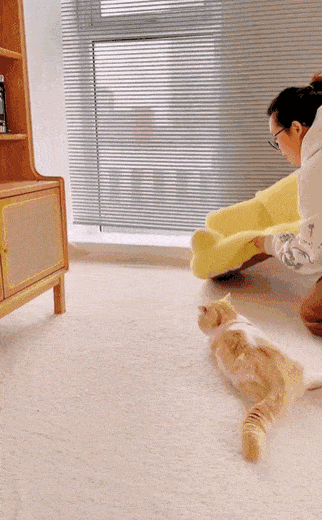 Обстановка по кайфу