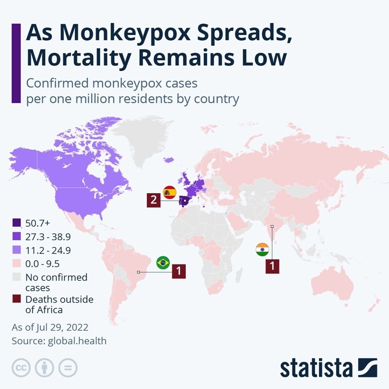 Подтвержденные случаи оспы обезьян на один миллион жителей в каждой стране