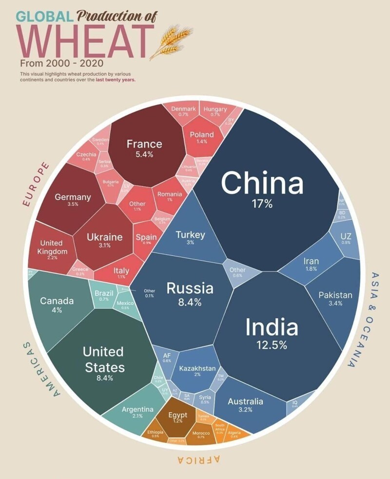 Пшеница - это основной продукт для миллионов людей по всему миру