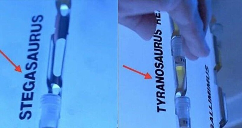 На контейнерах для хранения криогенных материалов в фильме неправильно написаны слова "стегозавр" и "тираннозавр"