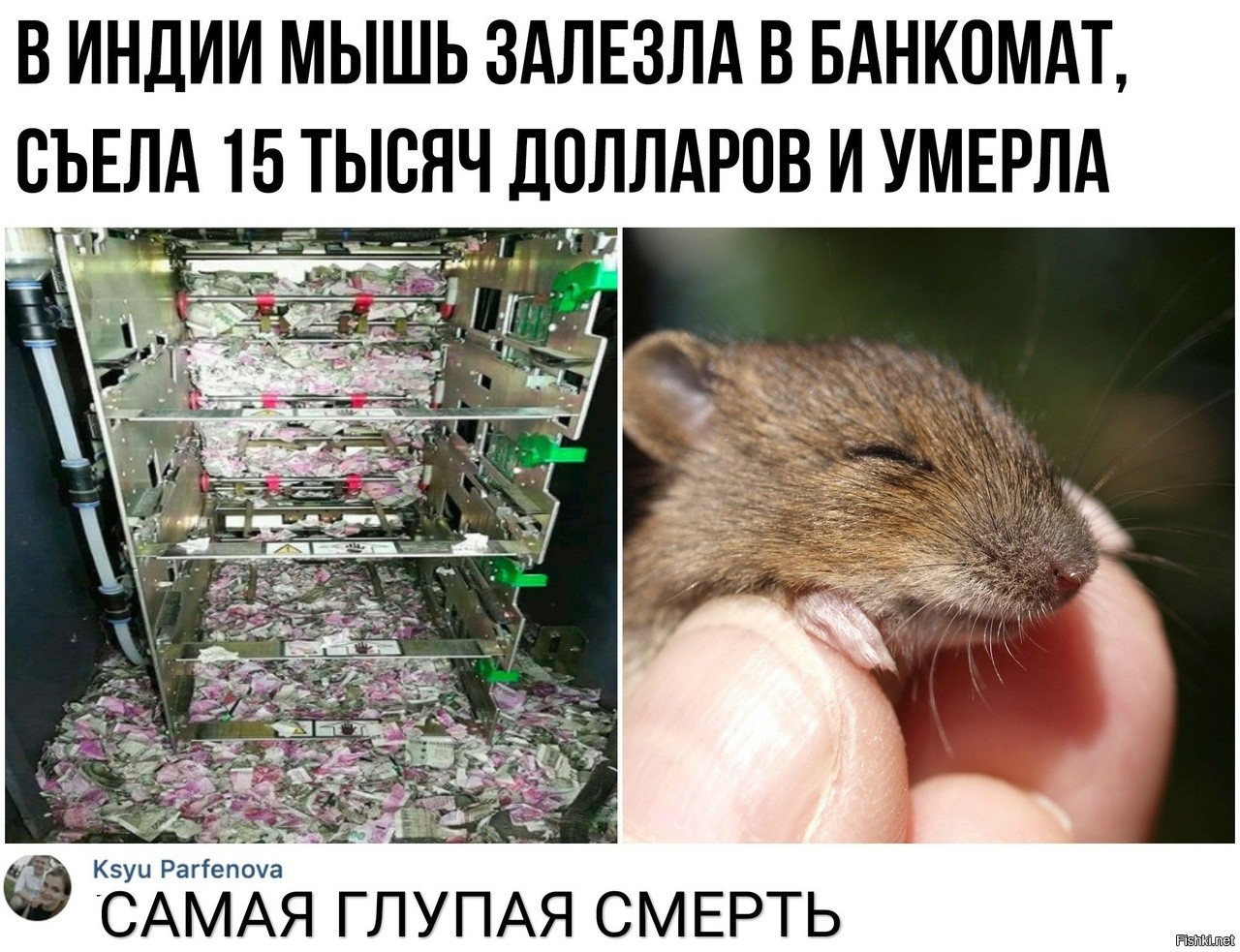 Мышь забралась в Банкомат