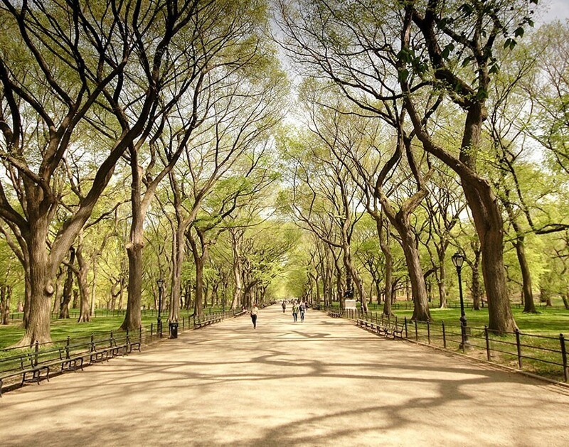 Центральный парк в Нью-Йорке - бесконечность аллей, запомнившихся по десяткам фильмов