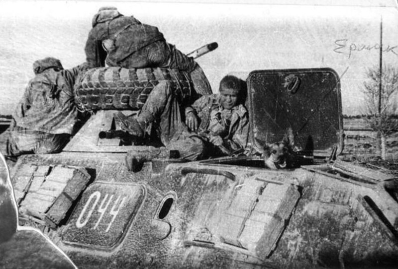  Газни, сапёр 177 отряда спецназа ефрейтор Александр Соловьев и его пёс Ермак
