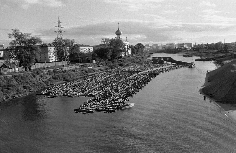 Стволы деревьев, связанные друг с другом в виде плотов на реке. Вологда, 1977 год