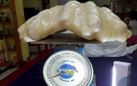 Самая большая жемчужина в мире, найдена на Филиппинах