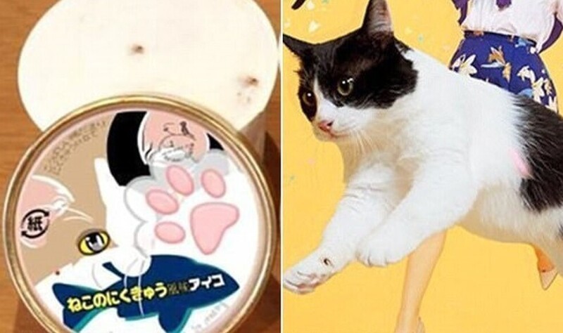 На выставке домашних животных в Японии в 2017 году создали мороженое, имитирующее текстуру и вкус кошачьей лапы