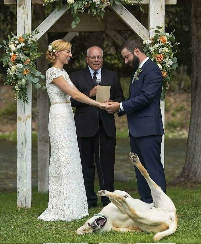 Лучшее свадебное фото