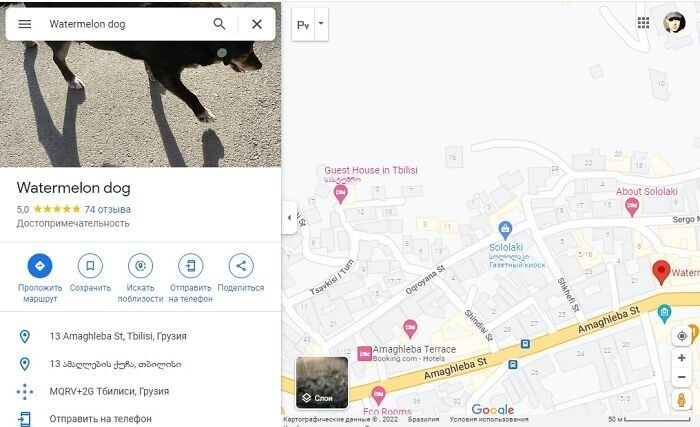 У Арбузика более 70 отзывов на картах Google и безупречная репутация