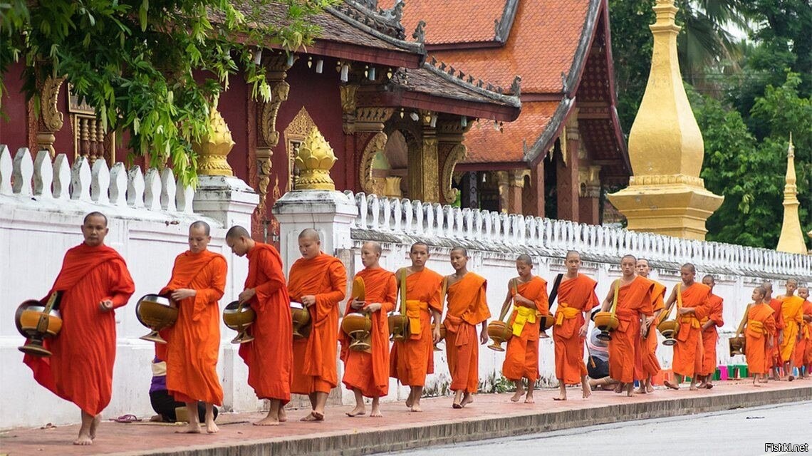 В Таиланде буддийский храм остался без монахов: они все провалили тест на нар...