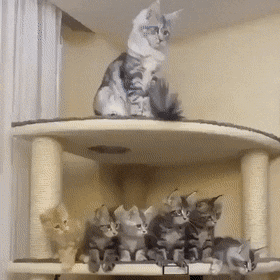 С добрым утром!