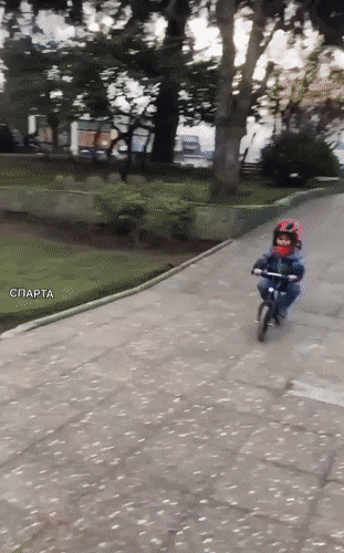 Попала под колеса