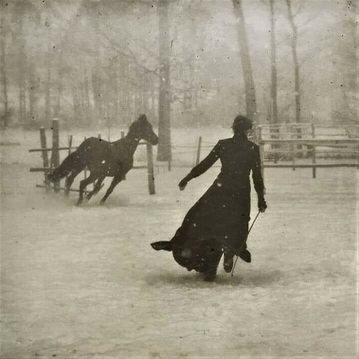 19. "Дрессировка лошадей", фото Фелика Тиолье. 1899 год