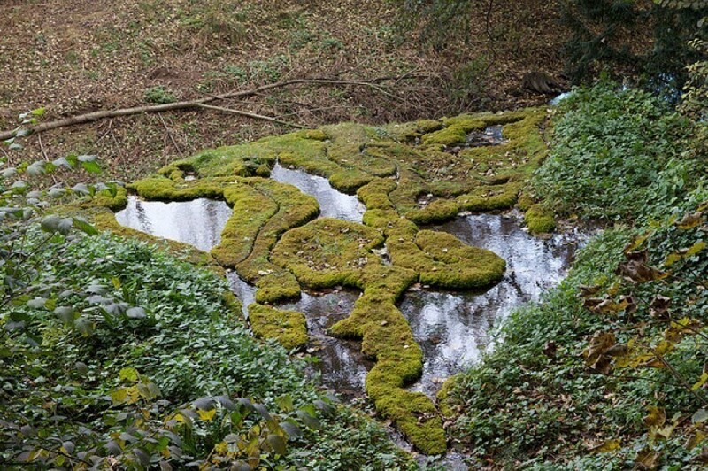 Загадочный водопад, который "превращает всё вокруг в камень"