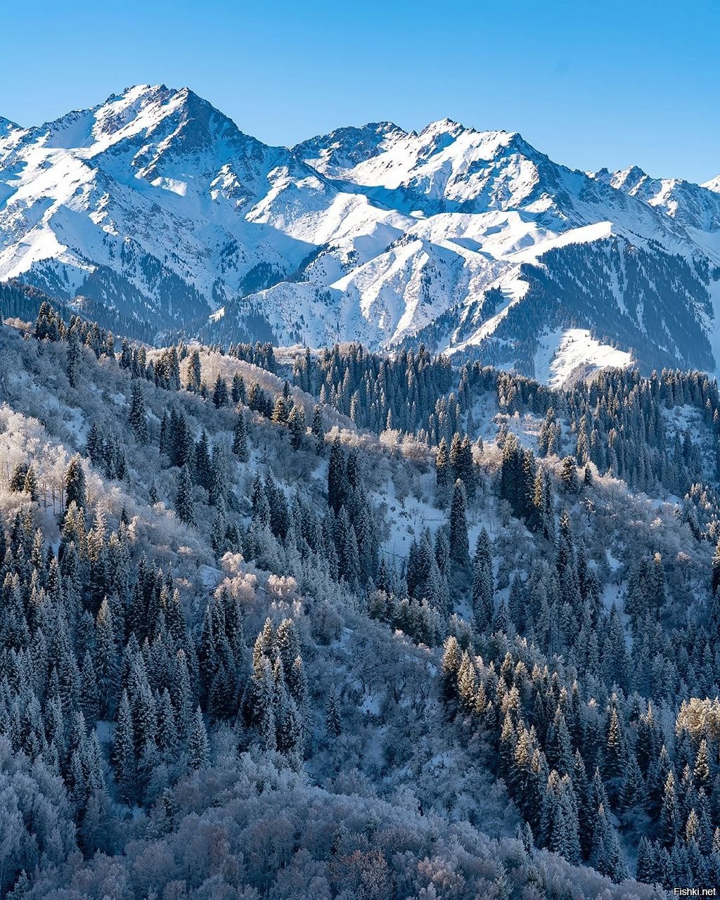 Горы зимой в алматы