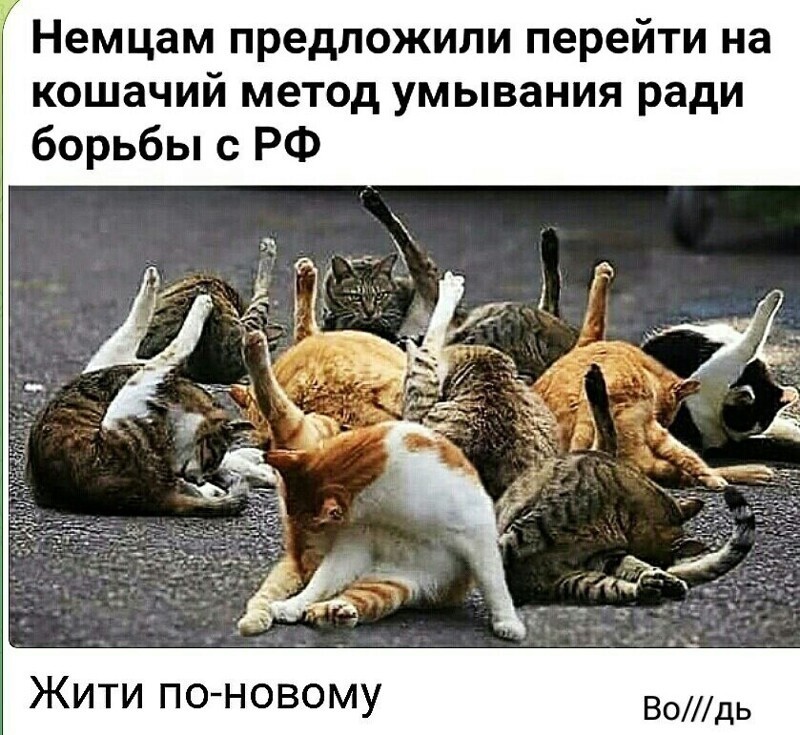 О политике и не только