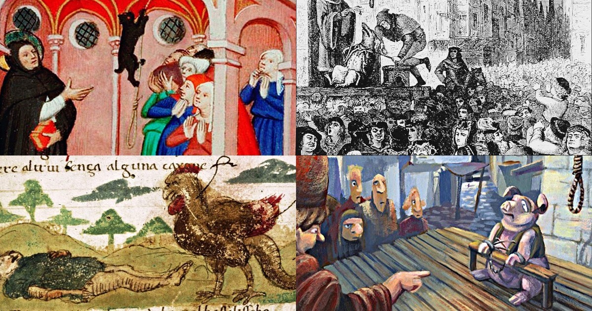Виновны по всей строгости: как судили животных в эпоху Средневековья