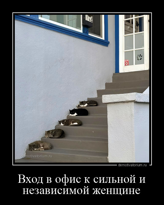 Вход в офис к сильной и независимой женщине