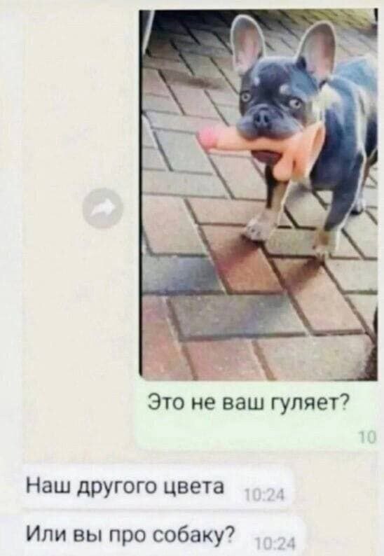 Скрины из соцсетей