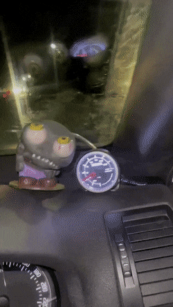 В ужасе от дорог