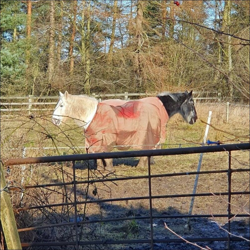 На позитиве