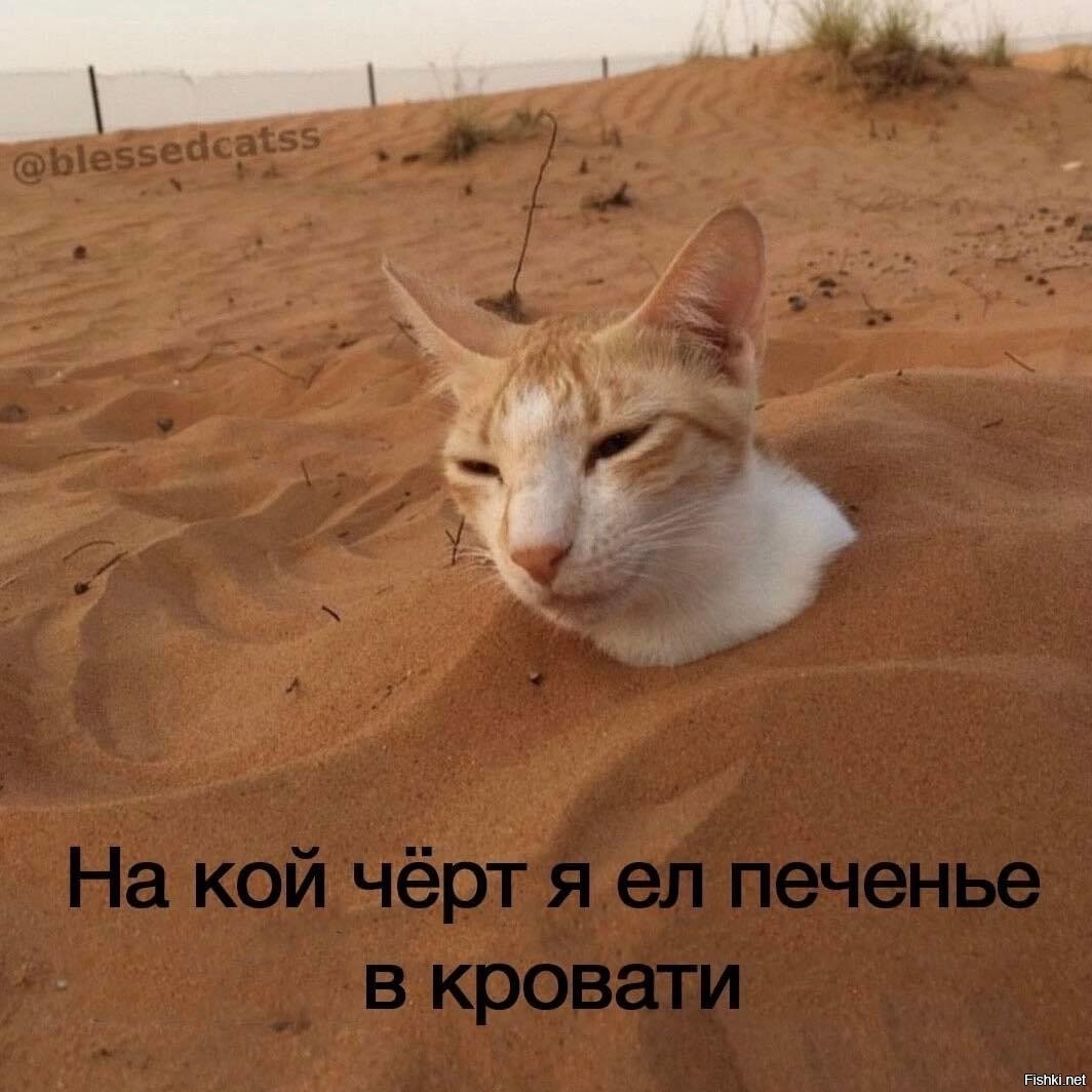 Прикол нет блин