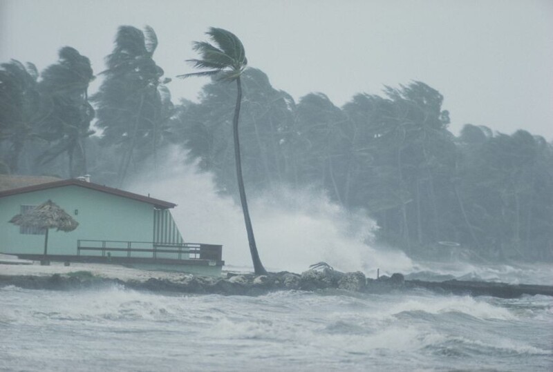 В среднем каждый год случается 10 ураганов. Правда, были исключения. В 1995 году их было 19, а в 2005 году - 28 ураганов