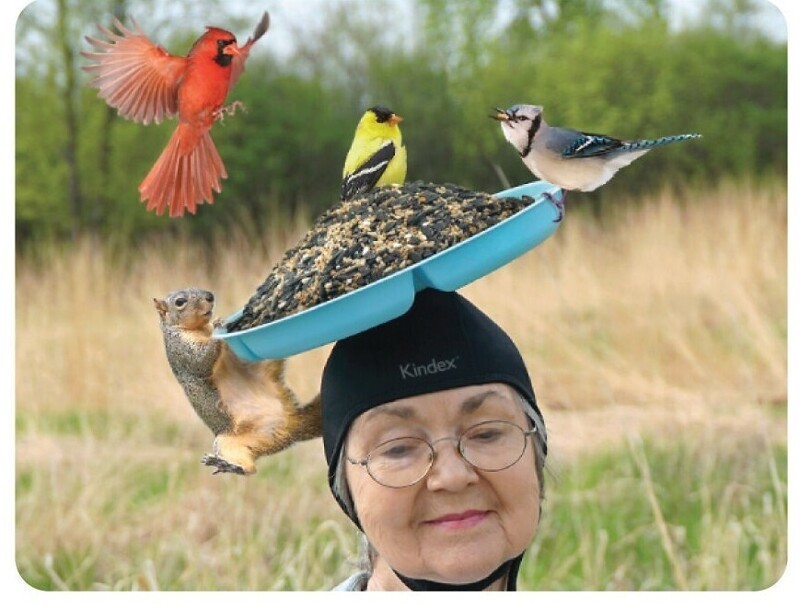 Шляпа-кормушка - мечта любителя птиц!