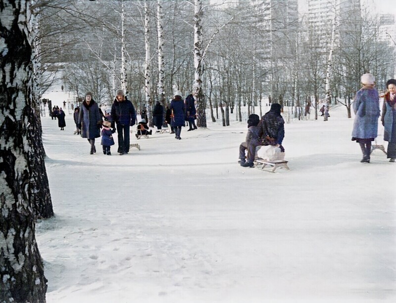 В начале берёзовой аллеи, вид на Бирюлёвский овраг и Липецкую улицу, 1979 год.