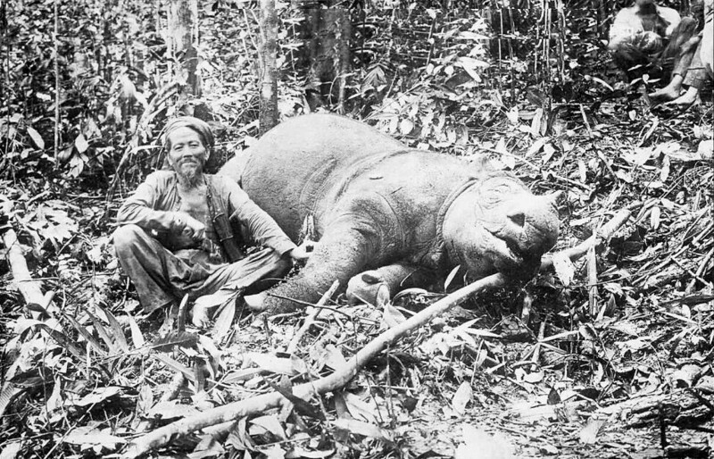 Охотник на носорога. Сингапур. 1922 год