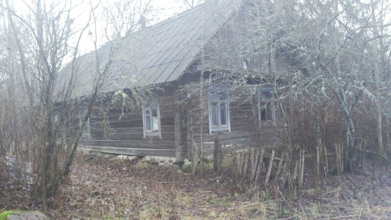 Белоруска вернулась из США, построила дом на Нарочи и перевезла две столетние хаты