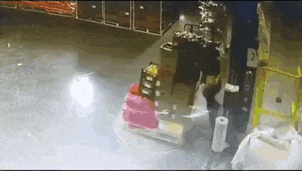 Попал в западню