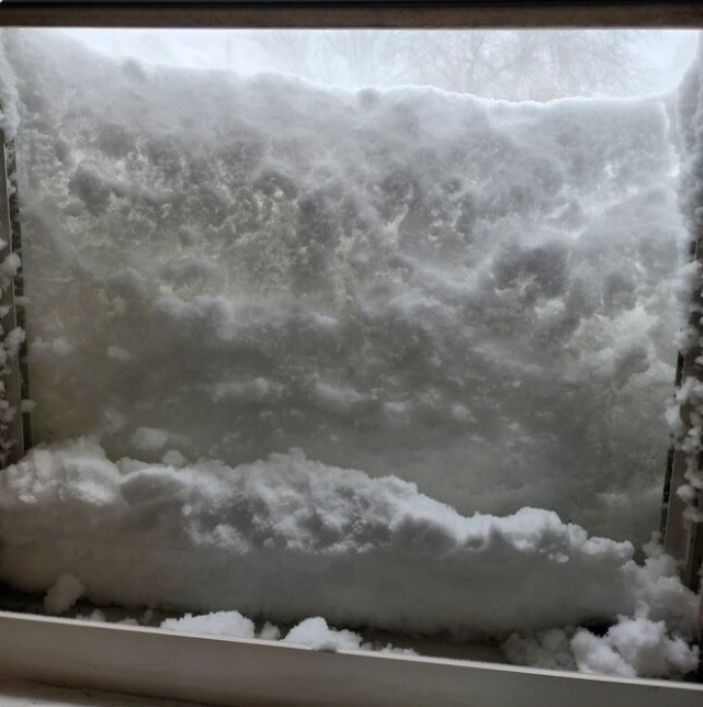 18. "Решила выглянуть в окно, чтобы посмотреть, что там сегодня со снегом. Ох..."